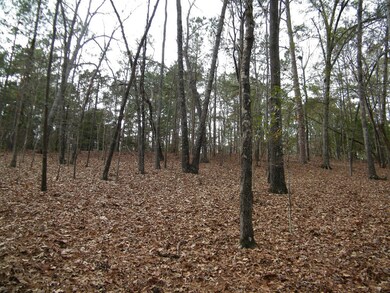 LOT IN WINTER