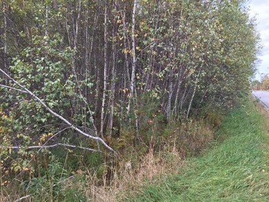 Map/Lot 01 Darling Rd, Hudson, ME 04449 - photo 2