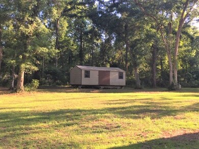 407 Emmett Whaley Rd, Crawfordville, FL 32327 - photo 4