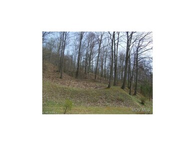 Moss land 6