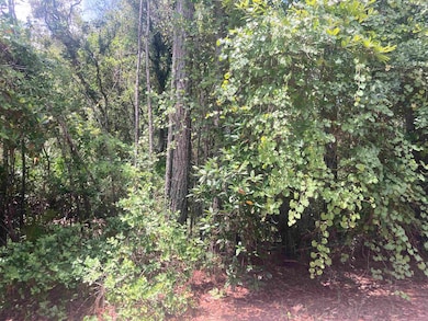 327 Palm Way, Georgetown Cove, FL 32139 - photo 2