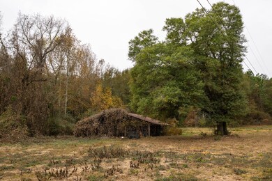 7 Lot E County Road 682, Coffee Springs, AL 36318 - photo 7