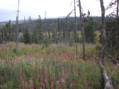 Meadow & Valley