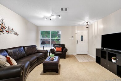 24550 Daisy Run, San Antonio, TX 78255 - photo 5