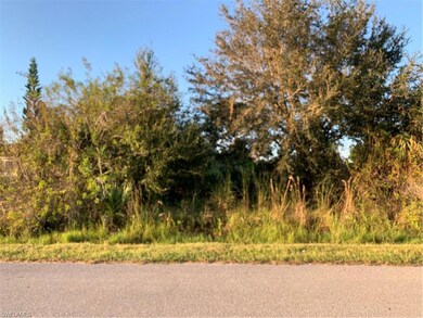 Nice mature trees on the Lot
