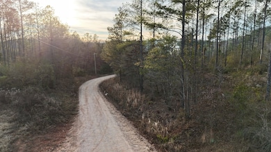 08 County Road 176, Piedmont, AL 36272 - photo 4