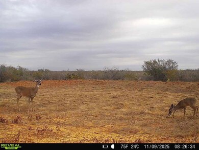 0 County Road 203 unit 25565276, San Jose, TX 78332 - photo 7