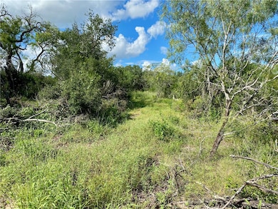0 Fm 673 unit 407286, Beeville, TX 78102 - photo 5