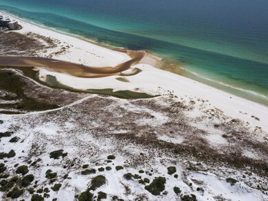 10 Lupin Beach Dr, Inlet Beach, FL 32413 - photo 5