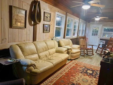 156 Peter Knob Rd, Blue Ridge, GA 30513 - photo 6