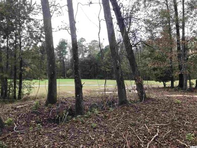 121 Bantry Ln, Conway, SC 29526 - photo 3