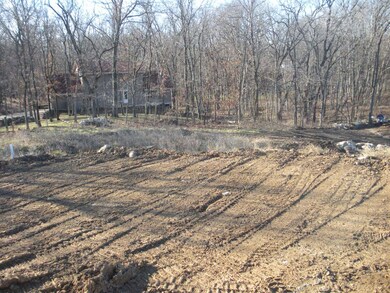 Black Walnut Back Yard Photo 3