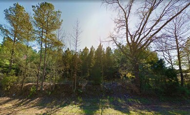 0 Aspen Dr unit Harleton TX 75651, Harleton, TX 75651 - photo 3