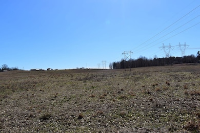 Thompson Farm Rd, Mabelvale, AR 72013 - photo 6