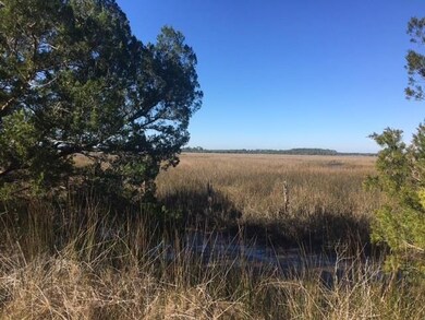 XX Mill Creek Rd, Crawfordville, FL 32327 - photo 3