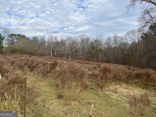 0 Julius Bridge Rd unit 10656513, Ball Ground, GA 30107 - photo 6