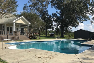 Pool and Shed