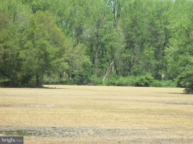 3228 Thompsonville Rd, Milford, DE 19963 - photo 3