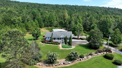 3941 Shoal Creek Rd, Ashville, AL 35953 - photo 5