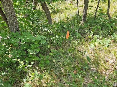 844 E Edgewood Dr unit 844, Fairview, UT 84629 - photo 7