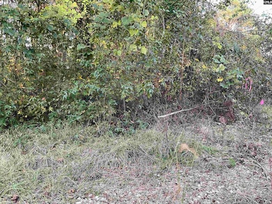 3551 Moonlight Rd, Barnwell, SC 29853 - photo 4