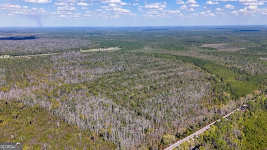 0 U S 84 unit 1 10563254, Homerville, GA 31634 - photo 4