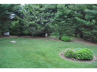 Yard/Garden.