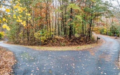 Additional View