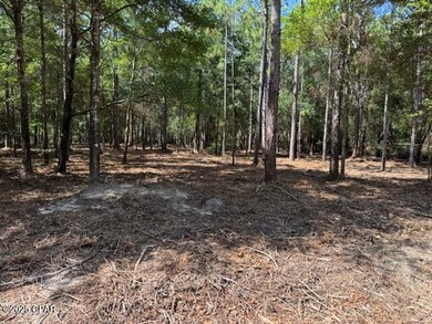 0000 Derby Dr, Chipley, FL 32428 - photo 3