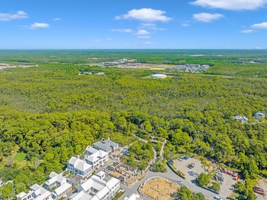 116 Featherbed Aly, Inlet Beach, FL 32461 - photo 5