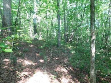 00 Chester Rd, Dahlonega, GA 30533 - photo 6