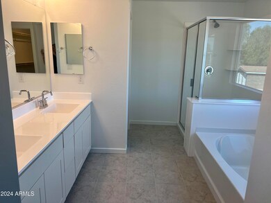 Primary Bath finished