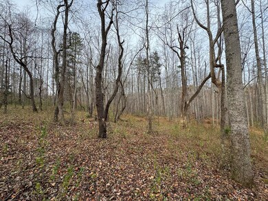 0 Pine Knoll Farms unit 104183, Stuart, VA 24171 - photo 5