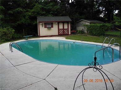 Heated in ground pool.  Pool House. Natural vined 