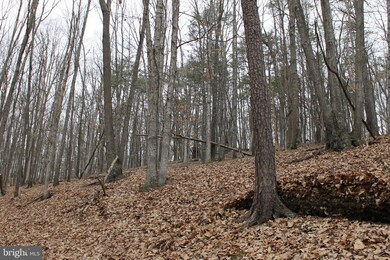 0 Push Root Rd unit WVMI111820, Burlington, WV 26710 - photo 3