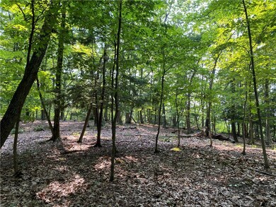 6 Learn Ln, East Stroudsburg, PA 18301 - photo 3