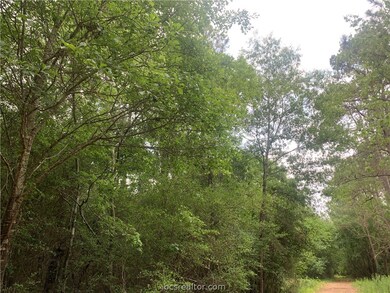 001 Pin Oak Dr, Plantersville, TX 77363 - photo 4