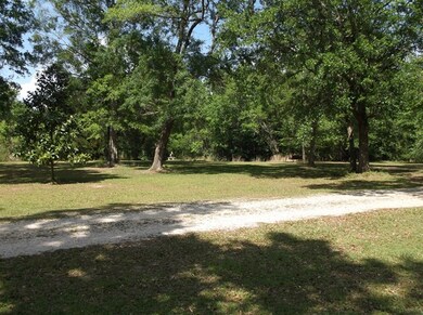 driveway view #2