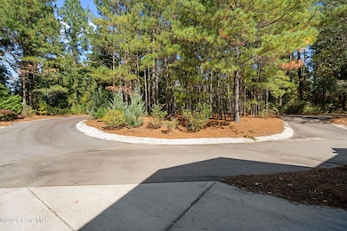 44-web-or-mls-DSC05918