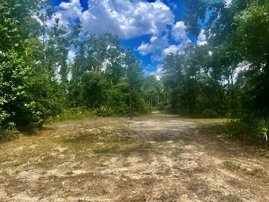 0 SW 50th Ln, Cross City, FL 32628 - photo 5