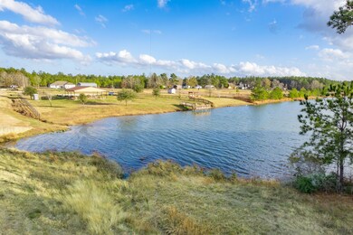 2003 White Buck Ct, Cleveland, TX 77328 - photo 4