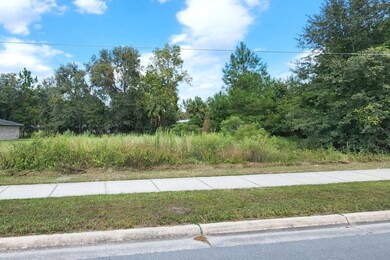 0 NW Bascom Norris Dr unit MFRGC518103, Lake City, FL 32055 - photo 7