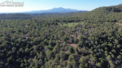 Property view of mountains featuring a wooded view
