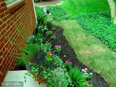 5011 Aurora Dr, Kensington, MD 20895 - photo 5