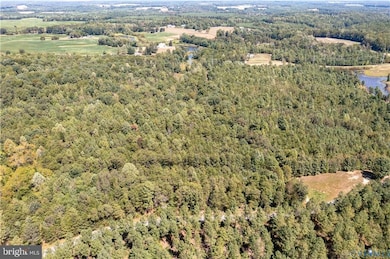 0 File Rd unit VACV2008830, Milford, VA 22514 - photo 6