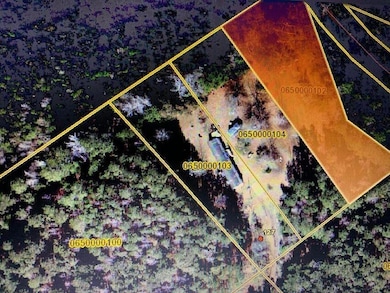 0 Bolt Dr, Cross, SC 29436 - photo 3