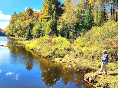 13347 Henry Rd, Natural Bridge, NY 13665 - photo 3