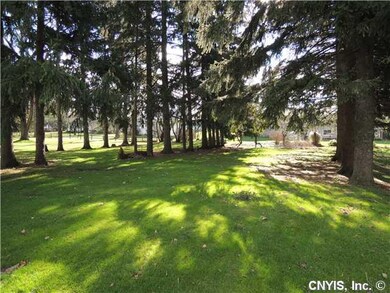Yard/Garden