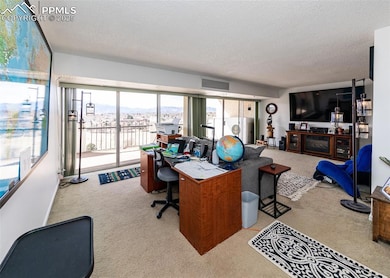 411 Lakewood Cir unit A1204, Colorado Springs, CO 80910 - photo 6