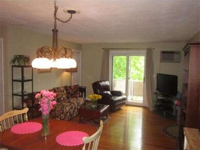 60 Lionel Ave unit F, Waltham, MA 02452 - photo 6